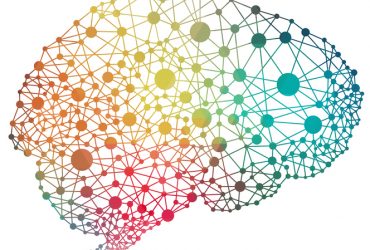 Neurociencia Afectiva