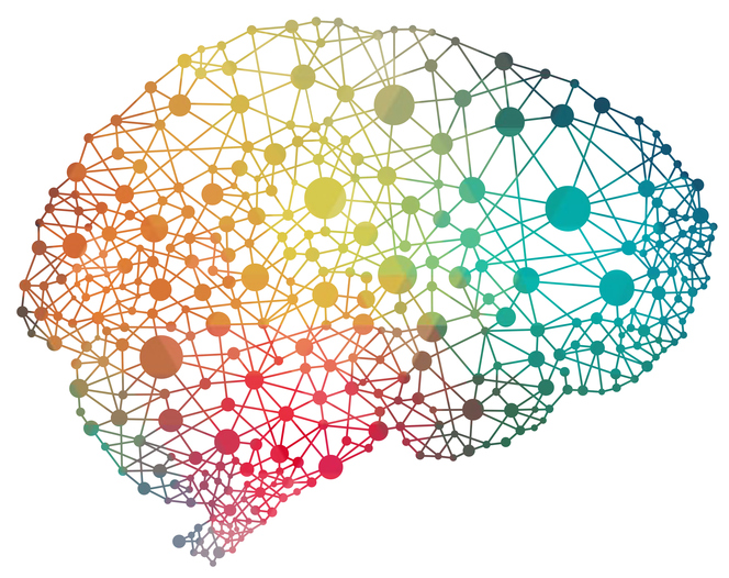 Neurociencia Afectiva