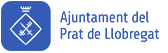 Ajuntament de Sant Boi