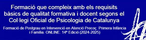 Postgrau en Intervenció en Atenció Precoç: Primera Infància i Família