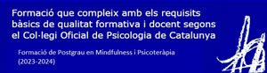 copc postgrado mindfulness psicoterapia