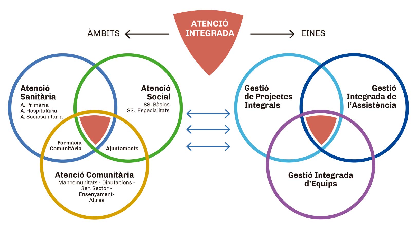 esquema acció integrada Gesaph