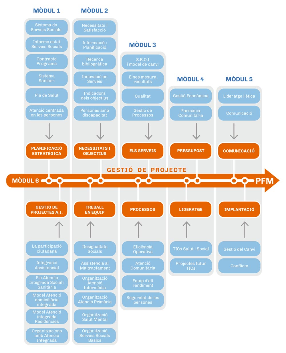 ESQUEMA CURS GESAPH