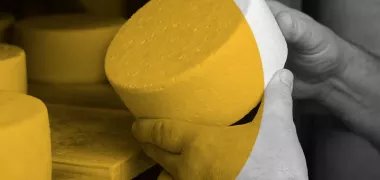 Una inmersión en el universo del queso